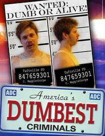 Watch America S Dumbest Criminals S01 E12 Free TV Shows Fawesome TV